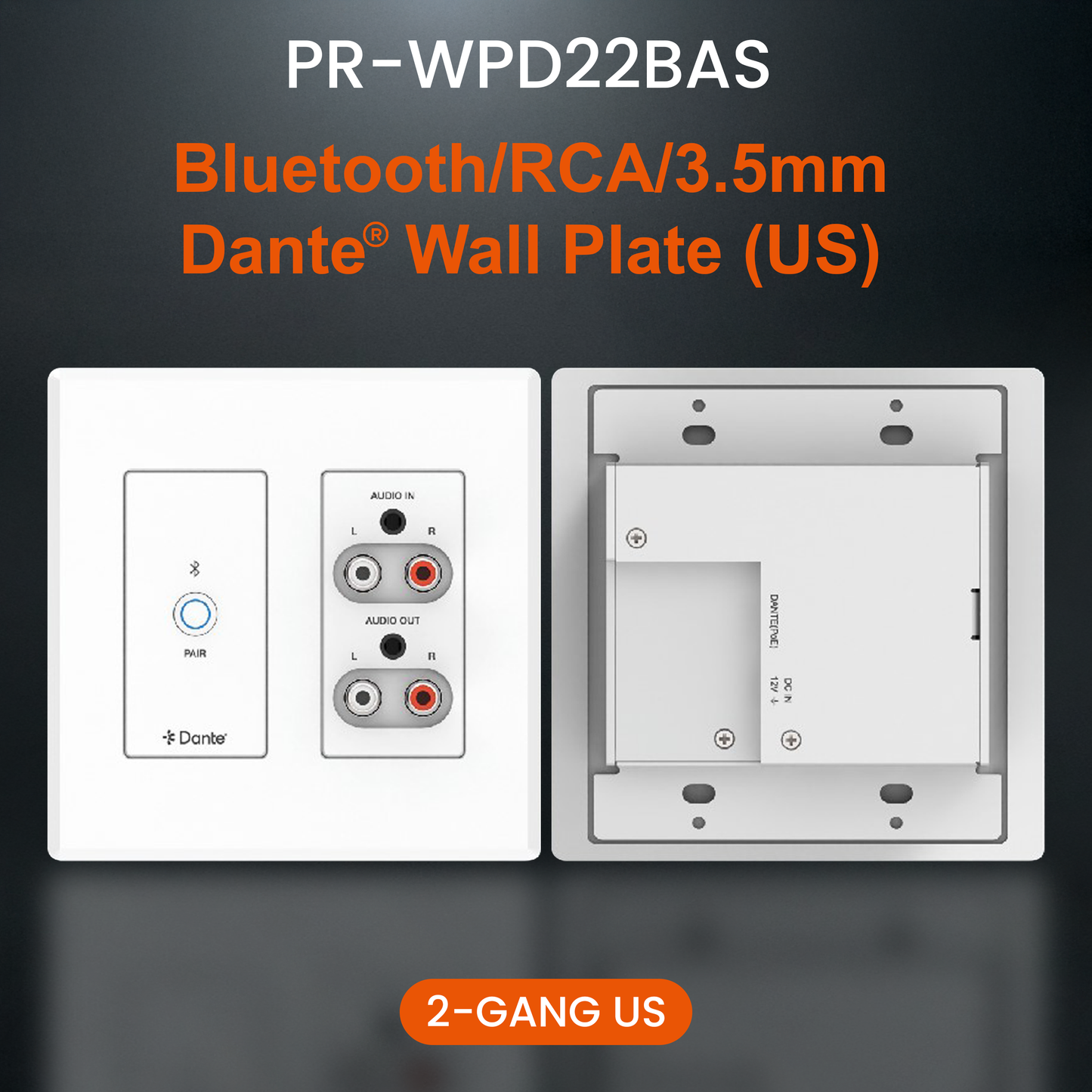 Dante Audio Wall Plate – XLR, Bluetooth, and RCA Analog to Dante